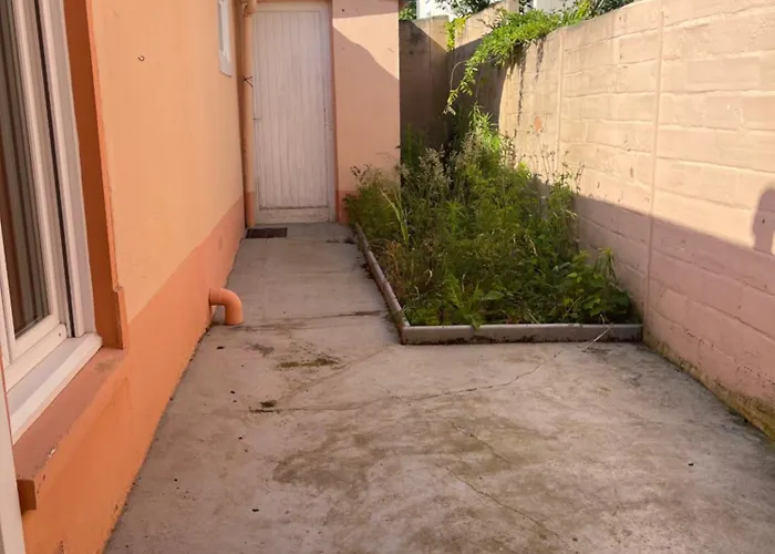 Mozafar * Λε Μανς